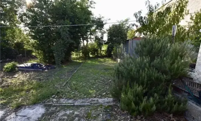 Rexer-Lagosanto-Vendesi-villeta-a-schiera-a-Lagosanto-FE-Giardino