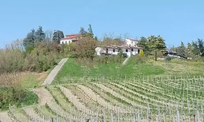 Rexer-Golferenzo-Vendesi-Villetta-in-via-provinciale-Golferenzo-Altro