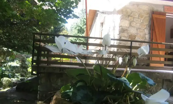 Rexer-Taverna-Vendesi-Prestigiosa-Villa-Indipendente-a-Taverna-Altro