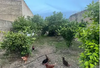 Rexer-Selegas-Casa-con-grande-giardino-a-Selegas-Giardino