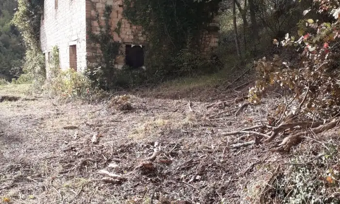 Rexer-Arcevia-CASALE-IN-PIETRA-A-VISTA-CON-TERRENO-Giardino