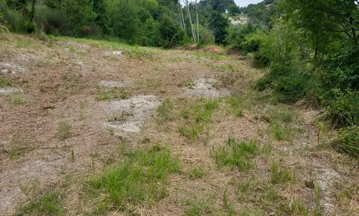 Rexer-Arcevia-CASALE-IN-PIETRA-A-VISTA-CON-TERRENO-Terrazzo