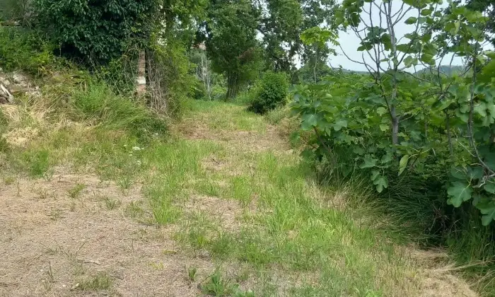 Rexer-Arcevia-CASALE-IN-PIETRA-A-VISTA-CON-TERRENO-Terrazzo