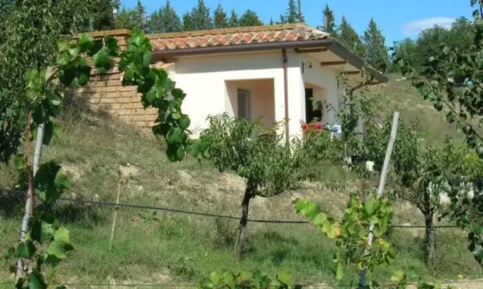 Rexer-Corciano-Residenza-Borgomeo-Umbria-SolomeoCorciano-Perugia-Casale-depoca-anche-per-permute-Giardino