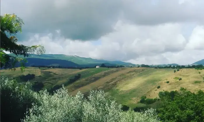 Rexer-Acquaviva-Collecroce-Vendesi-deliziosa-casa-indipendente-in-pietra-nel-caratteristico-borgo-collinare-di-Acquaviva-Collecroce-Terrazzo