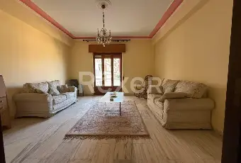 Rexer-Reggio-Calabria-Luminoso-pentavano-con-tripla-esposizione-Altro
