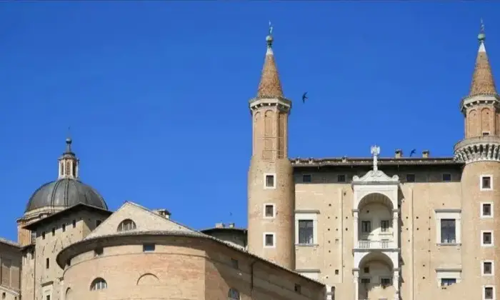 Rexer-Urbino-Vendesi-elegante-appartamento-a-Urbino-Altro