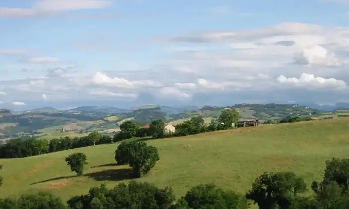 Rexer-Sassocorvaro-Auditore-endesi-casolare-panoramico-nel-cuore-del-Montefeltro-ideale-per-sviluppo-residenziale-o-turistico-a-Sassocorvaro-Auditore-Altro