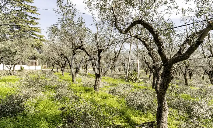 Rexer-Villapiana-Villa-Indipendentedisposta-su-due-livelli-Altro