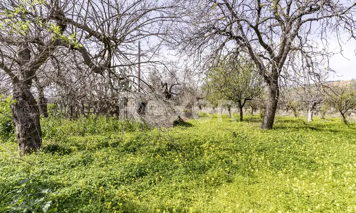 Rexer-Villapiana-Villa-Indipendentedisposta-su-due-livelli-Altro
