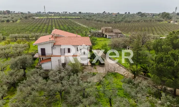 Rexer-Villapiana-Villa-Indipendentedisposta-su-due-livelli-Altro