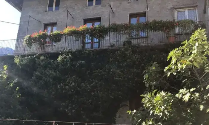 Rexer-Grosio-Propriet-rustica-in-vendita-Via-Monte-Storile-Grosio-Altro