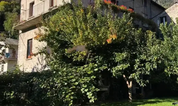 Rexer-Grosio-Propriet-rustica-in-vendita-Via-Monte-Storile-Grosio-Altro