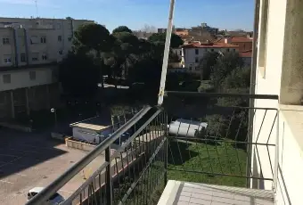 Rexer-Livorno-Vendesi-Bilocale-in-ottimo-stato-a-Livorno-Altro