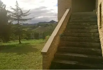 Rexer-Montalto-delle-Marche-Vendesi-Casa-Indipendente-con-Ampio-Giardino-a-Montalto-delle-Marche-Altro