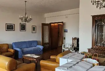 Rexer-Frosinone-FROSINONE-VIA-PETRARCA-Altro