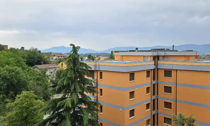 Rexer-Frosinone-FROSINONE-VIA-PETRARCA-Altro