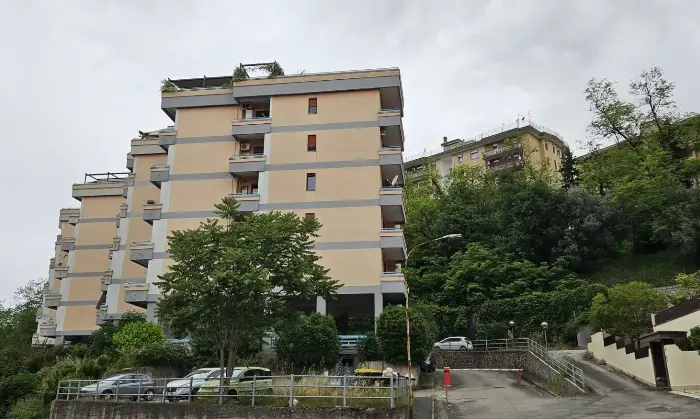 Rexer-Frosinone-FROSINONE-VIA-PETRARCA-Altro