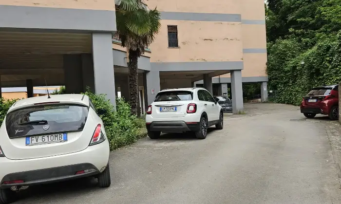 Rexer-Frosinone-FROSINONE-VIA-PETRARCA-Altro