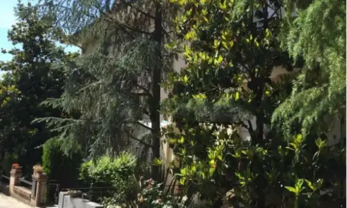 Rexer-Ostra-Vendesi-Palazzina-con-appartamenti-mansarde-abitabili-e-ampio-terreno-edificabile-a-Ostra-Altro