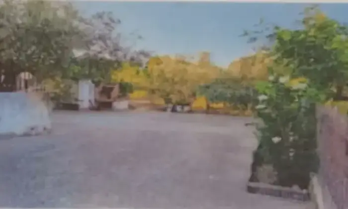 Rexer-Marano-Principato-Vendesi-villetta-bifamiliare-a-Marano-Principato-CS-Altro