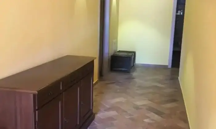Rexer-Quistello-Vendesi-Propriet-rustica-in-via-Argine-Secchia-Sud-Altro