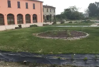 Rexer-Quistello-Vendesi-Propriet-rustica-in-via-Argine-Secchia-Sud-Altro