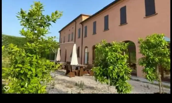 Rexer-Quistello-Vendesi-Propriet-rustica-in-via-Argine-Secchia-Sud-Altro