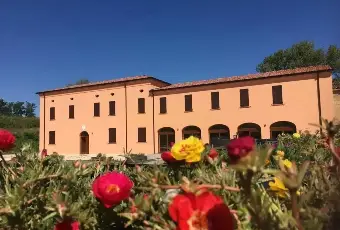 Rexer-Quistello-Vendesi-Propriet-rustica-in-via-Argine-Secchia-Sud-Altro