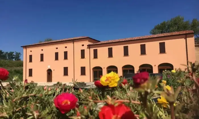 Rexer-Quistello-Vendesi-Propriet-rustica-in-via-Argine-Secchia-Sud-Altro