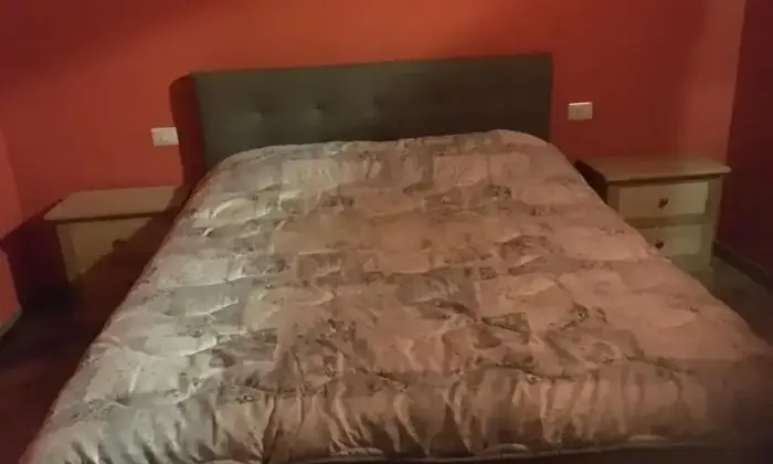 Rexer-Quistello-Vendesi-Propriet-rustica-in-via-Argine-Secchia-Sud-Altro