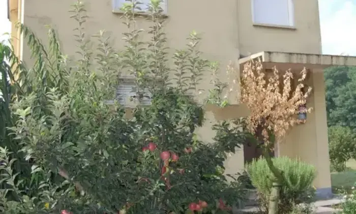 Rexer-Quistello-Casa-di-Paese-con-Ampio-Terreno-in-Vendita-Via-Gramsci-Quistello-Altro