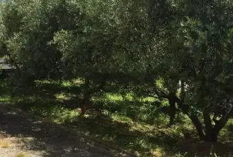 Rexer-Ostra-Mansarda-in-vendita-a-Ostra-Altro