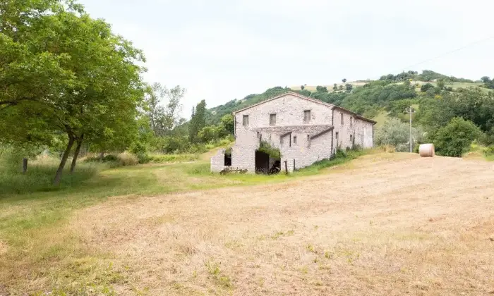 Rexer-Cartoceto-Vendesi-Casalecascina-in-frazione-Cartoceto-Altro