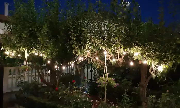 Rexer-Decollatura-Appartamento-di-vani-da-mq-a-Decollatura-Giardino
