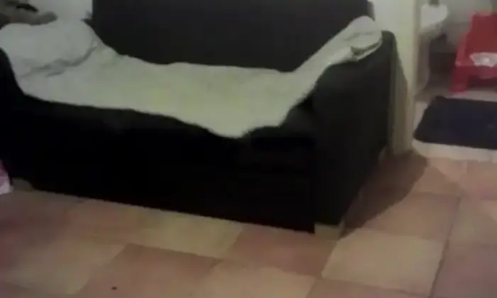 Rexer-Fornace-Vendesi-Casa-singola-in-vendita-Altro