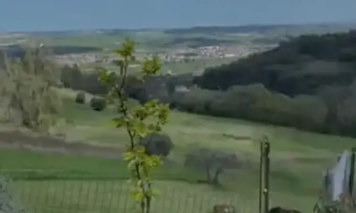 Rexer-Maiolati-Spontini-Vendesi-Casale-in-pietra-con-piscina-dependance-e-uliveto-secolare-a-Maiolati-Spontini-Altro