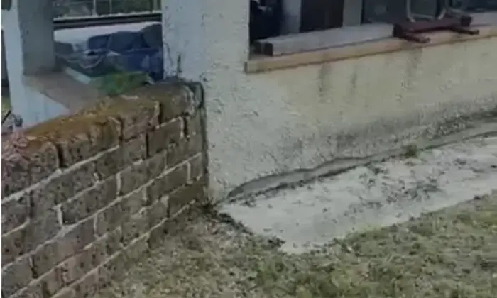 Rexer-Maiolati-Spontini-Vendesi-Casale-in-pietra-con-piscina-dependance-e-uliveto-secolare-a-Maiolati-Spontini-Altro