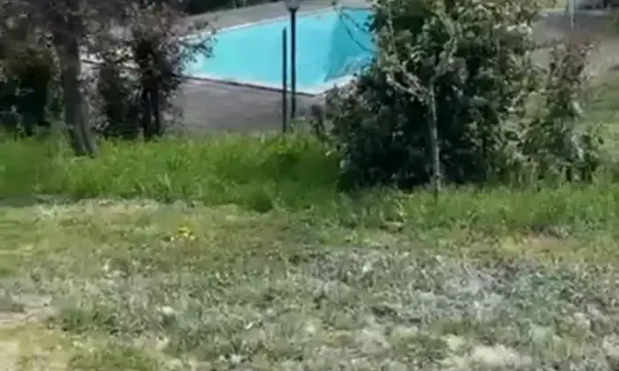Rexer-Maiolati-Spontini-Vendesi-Casale-in-pietra-con-piscina-dependance-e-uliveto-secolare-a-Maiolati-Spontini-Altro