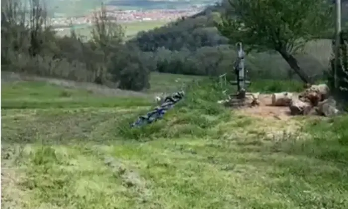 Rexer-Maiolati-Spontini-Vendesi-Casale-in-pietra-con-piscina-dependance-e-uliveto-secolare-a-Maiolati-Spontini-Altro