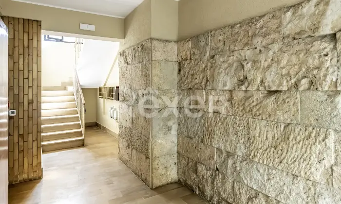 Rexer-Roma-Trilocale-piano-terra-con-ampio-giardino-zona-Primavalle-Altro