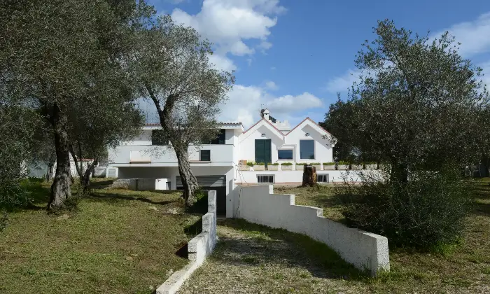 Rexer-Alghero-Alghero-grande-e-bellissima-villa-Giardino