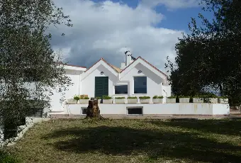 Rexer-Alghero-Alghero-grande-e-bellissima-villa-Giardino