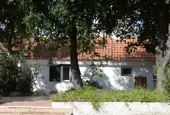 Rexer-Alghero-Alghero-grande-e-bellissima-villa-Giardino