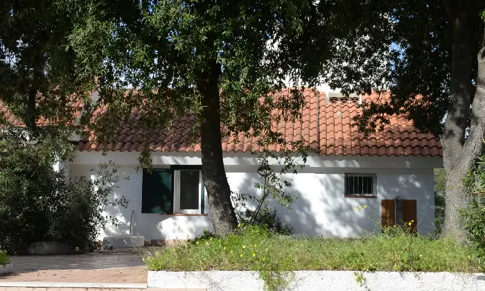 Rexer-Alghero-Alghero-grande-e-bellissima-villa-Giardino