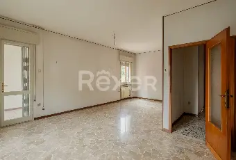 Rexer-Padova-Appartamento-con-tre-camere-e-molto-luminoso-Altro