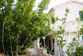 Rexer-Tusa-Casa-indipendente-a-m-dal-mare-con-mq-terreno-Terrazzo