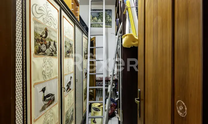 Rexer-Padova-Villa-a-schiera-con-giardino-e-garage-in-buone-condizioni-libera-subito-Altro