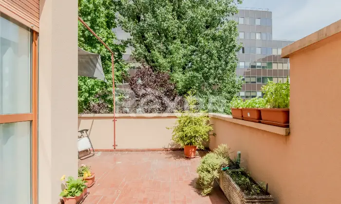 Rexer-Segrate-APPARTAMENTO-CON-TERRAZZI-Altro