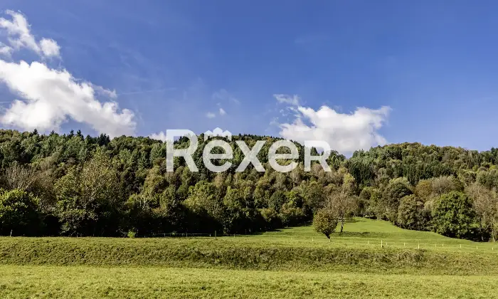 Rexer-Centro-Valle-Intelvi-Appartamento-con-giardino-Altro